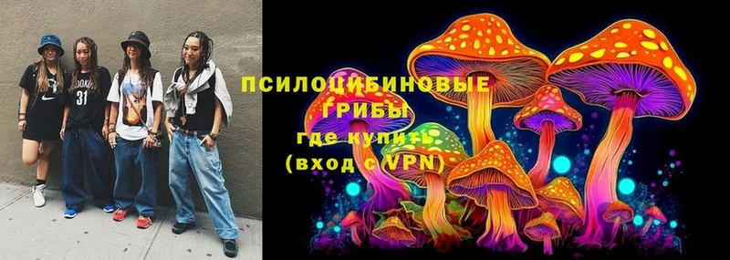 Псилоцибиновые грибы MAGIC MUSHROOMS  Болотное 